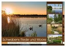 Löwer / CALVENDO |  Schwabens Riede und Moore (Tischkalender 2026 DIN A5 quer), CALVENDO Monatskalender | Sonstiges |  Sack Fachmedien