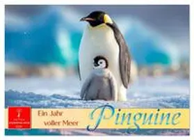 Roder / CALVENDO |  Pinguine - ein Jahr voller Meer (Wandkalender 2026 DIN A4 quer), CALVENDO Monatskalender | Sonstiges |  Sack Fachmedien