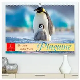 Roder / CALVENDO |  Pinguine - ein Jahr voller Meer (hochwertiger Premium Wandkalender 2026 DIN A2 quer), Kunstdruck in Hochglanz | Sonstiges |  Sack Fachmedien