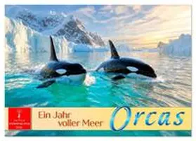 Roder / CALVENDO |  Orcas - ein Jahr voller Meer (Wandkalender 2026 DIN A2 quer), CALVENDO Monatskalender | Sonstiges |  Sack Fachmedien