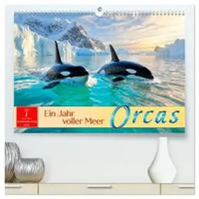 Roder / CALVENDO |  Orcas - ein Jahr voller Meer (hochwertiger Premium Wandkalender 2026 DIN A2 quer), Kunstdruck in Hochglanz | Sonstiges |  Sack Fachmedien