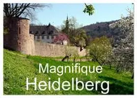 Ruhm Allemagne / CALVENDO |  Magnifique Heidelberg (Calendrier de bureau 2026 DIN A5 vertical), CALVENDO calendrier mensuel | Sonstiges |  Sack Fachmedien
