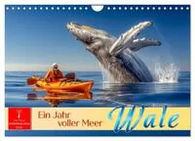 Roder / CALVENDO |  Wale - ein Jahr voller Meer (Wandkalender 2026 DIN A4 quer), CALVENDO Monatskalender | Sonstiges |  Sack Fachmedien