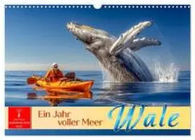 Roder / CALVENDO |  Wale - ein Jahr voller Meer (Wandkalender 2026 DIN A3 quer), CALVENDO Monatskalender | Sonstiges |  Sack Fachmedien