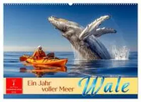 Roder / CALVENDO |  Wale - ein Jahr voller Meer (Wandkalender 2026 DIN A2 quer), CALVENDO Monatskalender | Sonstiges |  Sack Fachmedien