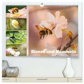 Maas / CALVENDO |  Bienen und Hummeln in Aktion (hochwertiger Premium Wandkalender 2026 DIN A2 quer), Kunstdruck in Hochglanz | Sonstiges |  Sack Fachmedien