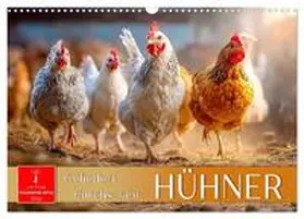 Roder / CALVENDO |  Hühner - gefiedert durchs Jahr (Wandkalender 2026 DIN A3 quer), CALVENDO Monatskalender | Sonstiges |  Sack Fachmedien