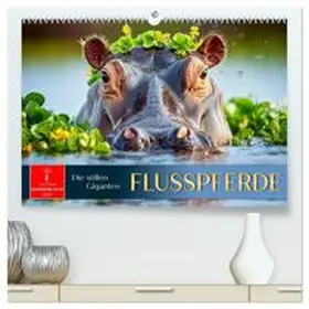 Roder / CALVENDO |  Flusspferde - die stillen Giganten (hochwertiger Premium Wandkalender 2026 DIN A2 quer), Kunstdruck in Hochglanz | Sonstiges |  Sack Fachmedien