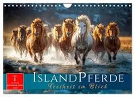 Roder / CALVENDO |  Islandpferde - Freiheit im Blick (Wandkalender 2026 DIN A4 quer), CALVENDO Monatskalender | Sonstiges |  Sack Fachmedien