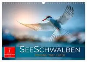 Roder / CALVENDO |  Seeschwalben - Meister der Lüfte (Wandkalender 2026 DIN A3 quer), CALVENDO Monatskalender | Sonstiges |  Sack Fachmedien