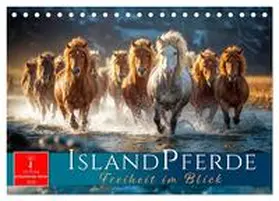 Roder / CALVENDO |  Islandpferde - Freiheit im Blick (Tischkalender 2026 DIN A5 quer), CALVENDO Monatskalender | Sonstiges |  Sack Fachmedien
