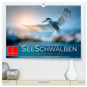 Roder / CALVENDO |  Seeschwalben - Meister der Lüfte (hochwertiger Premium Wandkalender 2026 DIN A2 quer), Kunstdruck in Hochglanz | Sonstiges |  Sack Fachmedien