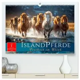 Roder / CALVENDO |  Islandpferde - Freiheit im Blick (hochwertiger Premium Wandkalender 2026 DIN A2 quer), Kunstdruck in Hochglanz | Sonstiges |  Sack Fachmedien
