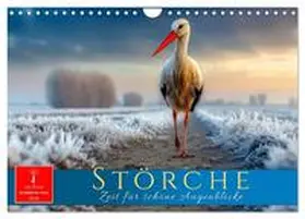 Roder / CALVENDO |  Störche - Zeit für schöne Augenblicke (Wandkalender 2026 DIN A4 quer), CALVENDO Monatskalender | Sonstiges |  Sack Fachmedien