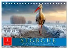 Roder / CALVENDO |  Störche - Zeit für schöne Augenblicke (Tischkalender 2026 DIN A5 quer), CALVENDO Monatskalender | Sonstiges |  Sack Fachmedien