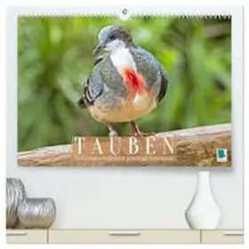 CALVENDO |  Tauben: vielfarbiges Gefieder und prächtige Federkrone (hochwertiger Premium Wandkalender 2026 DIN A2 quer), Kunstdruck in Hochglanz | Sonstiges |  Sack Fachmedien