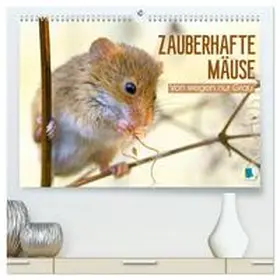 CALVENDO |  Zauberhafte Mäuse: Von wegen nur Grau (hochwertiger Premium Wandkalender 2026 DIN A2 quer), Kunstdruck in Hochglanz | Sonstiges |  Sack Fachmedien