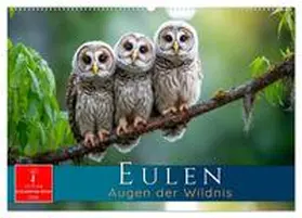 Roder / CALVENDO |  Eulen - Augen der Wildnis (Wandkalender 2026 DIN A2 quer), CALVENDO Monatskalender | Sonstiges |  Sack Fachmedien