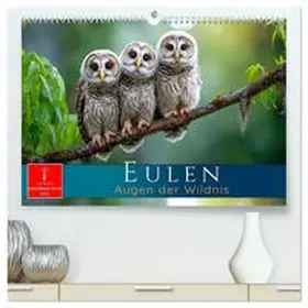 Roder / CALVENDO |  Eulen - Augen der Wildnis (hochwertiger Premium Wandkalender 2026 DIN A2 quer), Kunstdruck in Hochglanz | Sonstiges |  Sack Fachmedien
