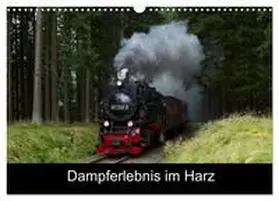 Maurer / CALVENDO |  Dampferlebnis im Harz (Wandkalender 2026 DIN A3 quer), CALVENDO Monatskalender | Sonstiges |  Sack Fachmedien