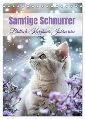 Bee / CALVENDO |  Samtige Schnurrer (Tischkalender 2026 DIN A5 hoch), CALVENDO Monatskalender | Sonstiges |  Sack Fachmedien