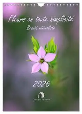 Martzel / CALVENDO |  Fleurs en toute simplicité - Beauté minimaliste (Calendrier mural 2026 DIN A4 horizontal), CALVENDO calendrier mensuel | Sonstiges |  Sack Fachmedien