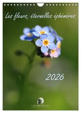 Martzel / CALVENDO |  Les fleurs, éternelles éphemères (Calendrier mural 2026 DIN A4 horizontal), CALVENDO calendrier mensuel | Sonstiges |  Sack Fachmedien