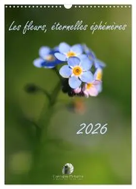 Martzel / CALVENDO |  Les fleurs, éternelles éphemères (Calendrier mural 2026 DIN A3 horizontal), CALVENDO calendrier mensuel | Sonstiges |  Sack Fachmedien