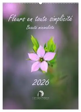 Martzel / CALVENDO |  Fleurs en toute simplicité - Beauté minimaliste (Calendrier mural 2026 DIN A2 horizontal), CALVENDO calendrier mensuel | Sonstiges |  Sack Fachmedien