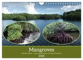 CALVENDO / Niemann |  Mangroves - Valuable Habitat (Wall Calendar 2026 DIN A4 landscape), CALVENDO 12 Month Wall Calendar | Sonstiges |  Sack Fachmedien