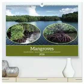 CALVENDO / Niemann |  Mangroves - Valuable Habitat (High Quality Premium Wall Calendar 2026 DIN A2 landscape),CALVENDO 12 Month Wall Calendar | Sonstiges |  Sack Fachmedien