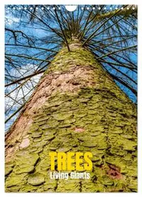 Senkov / CALVENDO |  Trees, Living Giants (Wall Calendar 2026 DIN A4 portrait), CALVENDO 12 Month Wall Calendar | Sonstiges |  Sack Fachmedien
