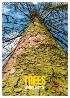 Senkov / CALVENDO |  Trees, Living Giants (Wall Calendar 2026 DIN A3 portrait), CALVENDO 12 Month Wall Calendar | Sonstiges |  Sack Fachmedien