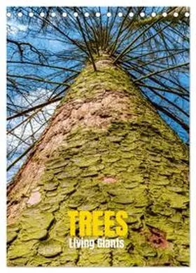Senkov / CALVENDO |  Trees, Living Giants (Desk Calendar 2026 DIN A5 portrait), CALVENDO 12 Month DeskCalendar | Sonstiges |  Sack Fachmedien