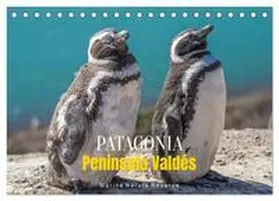 CALVENDO / Senkov |  Patagonia, Peninsula Valdés - Marine Nature Reserve (Desk Calendar 2026 DIN A5 landscape), CALVENDO 12 Month DeskCalendar | Sonstiges |  Sack Fachmedien