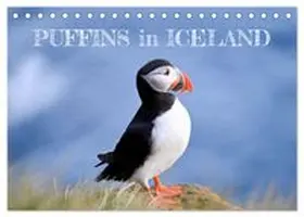 CALVENDO / Tomaschko |  Puffins in Iceland (Desk Calendar 2026 DIN A5 landscape), CALVENDO 12 Month DeskCalendar | Sonstiges |  Sack Fachmedien