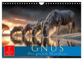 Roder / CALVENDO |  Gnus - die großen Wanderer (Wandkalender 2026 DIN A4 quer), CALVENDO Monatskalender | Sonstiges |  Sack Fachmedien