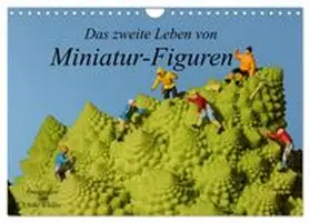 CALVENDO / Schäfer |  Das zweite Leben von Miniatur-Figuren (Wandkalender 2026 DIN A4 quer), CALVENDO Monatskalender | Sonstiges |  Sack Fachmedien