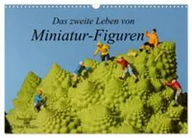 CALVENDO / Schäfer |  Das zweite Leben von Miniatur-Figuren (Wandkalender 2026 DIN A3 quer), CALVENDO Monatskalender | Sonstiges |  Sack Fachmedien