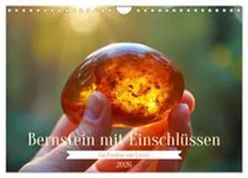 CALVENDO / Irmer |  Bernstein mit Einschlüssen (Wandkalender 2026 DIN A4 quer), CALVENDO Monatskalender | Sonstiges |  Sack Fachmedien