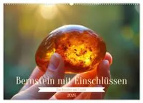 CALVENDO / Irmer |  Bernstein mit Einschlüssen (Wandkalender 2026 DIN A2 quer), CALVENDO Monatskalender | Sonstiges |  Sack Fachmedien