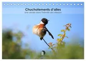 CALVENDO / Martzel |  Chuchotements d'ailes - Une année dans l'intimité des oiseaux (Calendrier de bureau 2026 DIN A5 vertical), CALVENDO calendrier mensuel | Sonstiges |  Sack Fachmedien
