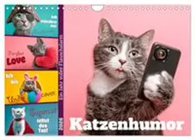 CALVENDO / Viola |  Katzenhumor - Ein Jahr voller Flauschalarm (Wandkalender 2026 DIN A4 quer), CALVENDO Monatskalender | Sonstiges |  Sack Fachmedien