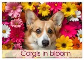CALVENDO / Bee |  Corgis in Bloom (Wall Calendar 2026 DIN A3 landscape), CALVENDO 12 Month Wall Calendar | Sonstiges |  Sack Fachmedien