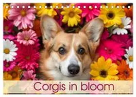CALVENDO / Bee |  Corgis in Bloom (Desk Calendar 2026 DIN A5 landscape), CALVENDO 12 Month DeskCalendar | Sonstiges |  Sack Fachmedien