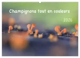 CALVENDO / Martzel |  Champignons tout en couleurs (Calendrier mural 2026 DIN A2 vertical), CALVENDO calendrier mensuel | Sonstiges |  Sack Fachmedien