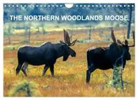 CALVENDO / Henry |  THE NORTHERN WOODLANDS MOOSE (Wall Calendar 2026 DIN A4 landscape), CALVENDO 12 Month Wall Calendar | Sonstiges |  Sack Fachmedien