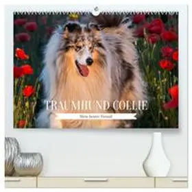 Starick / CALVENDO |  Traumhund Collie - Mein bester Freund (hochwertiger Premium Wandkalender 2026 DIN A2 quer), Kunstdruck in Hochglanz | Sonstiges |  Sack Fachmedien