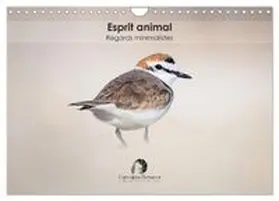CALVENDO / Martzel |  Esprit animal - Regards minimalistes (Calendrier mural 2026 DIN A4 vertical), CALVENDO calendrier mensuel | Sonstiges |  Sack Fachmedien