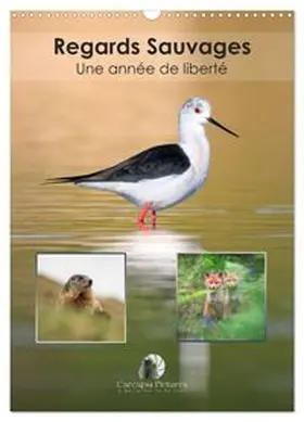 CALVENDO / Martzel |  Regards sauvages - Une année de liberté (Calendrier mural 2026 DIN A3 horizontal), CALVENDO calendrier mensuel | Sonstiges |  Sack Fachmedien
